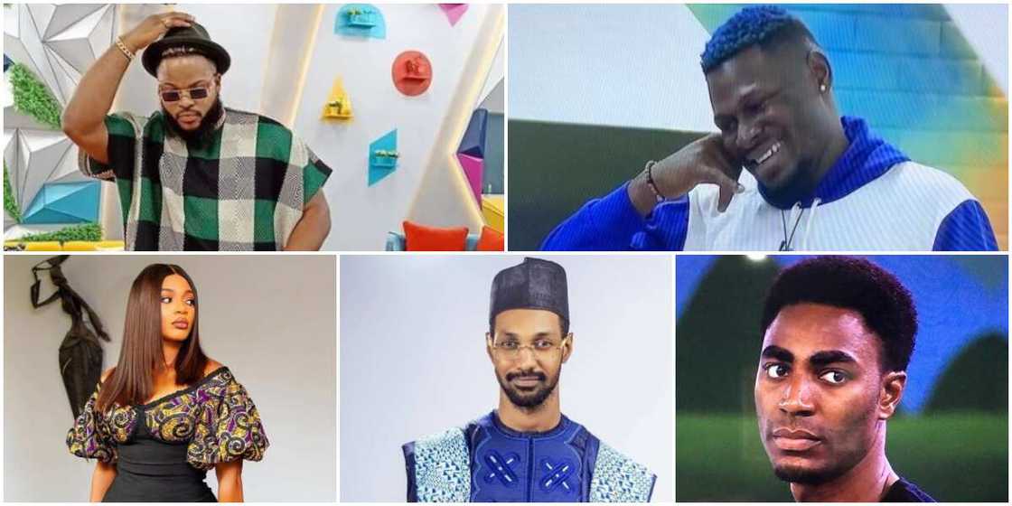 Whitemoney, Yousef, Niyi, 2 Others Up for Eviction As Wildcards Maria and Pere Nominate Whitemoney, Yousef, Niyi, 2 Others Up for Eviction As Wildcards Maria and Pere Nominate