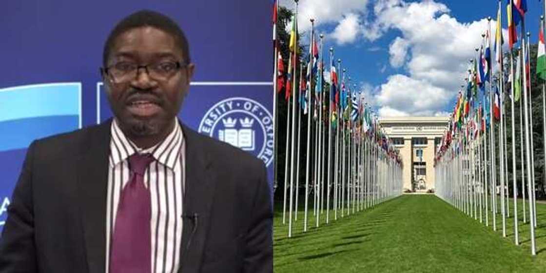 Dapo Akande: UK nominates Nigerian-born lawyer as representative at UN commission Dapo Akande: UK nominates Nigerian-born lawyer as representative at UN commission