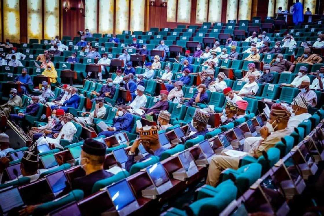 Nigerians in diaspora have no right to complain on insecurity, lawmaker declares Nigerians in diaspora have no right to complain on insecurity, lawmaker declares