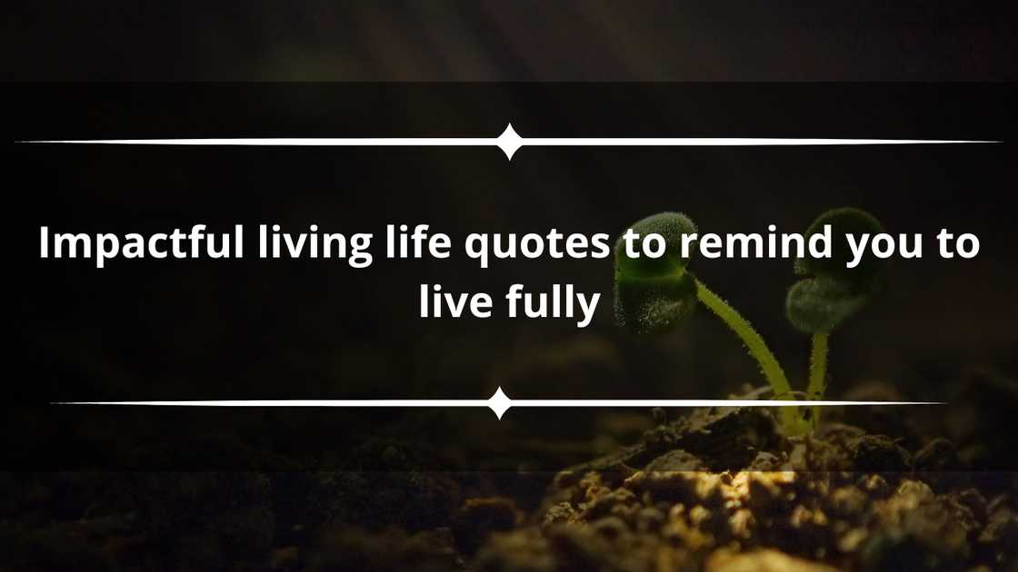 Living life quotes