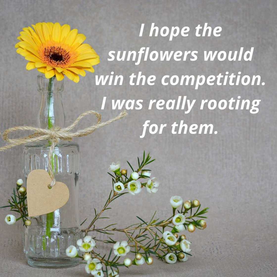 Sunflower puns Sunflower puns