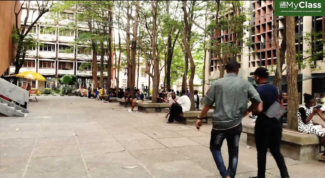 Tertiary Students to Get N4m Students Support Fund Through Nationwide Objectives Virtualtest Tertiary Students to Get N4m Students Support Fund Through Nationwide Objectives Virtualtest