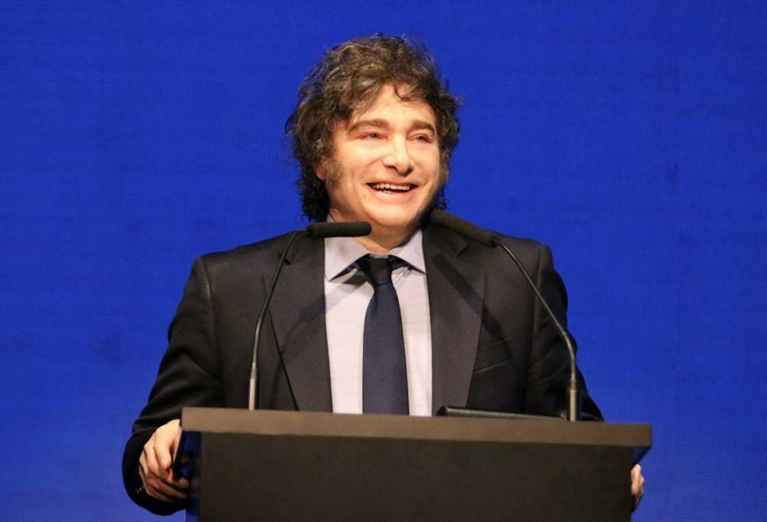 Argentinian President Javier Milei has pushed through radical economic reforms Argentinian President Javier Milei has pushed through radical economic reforms