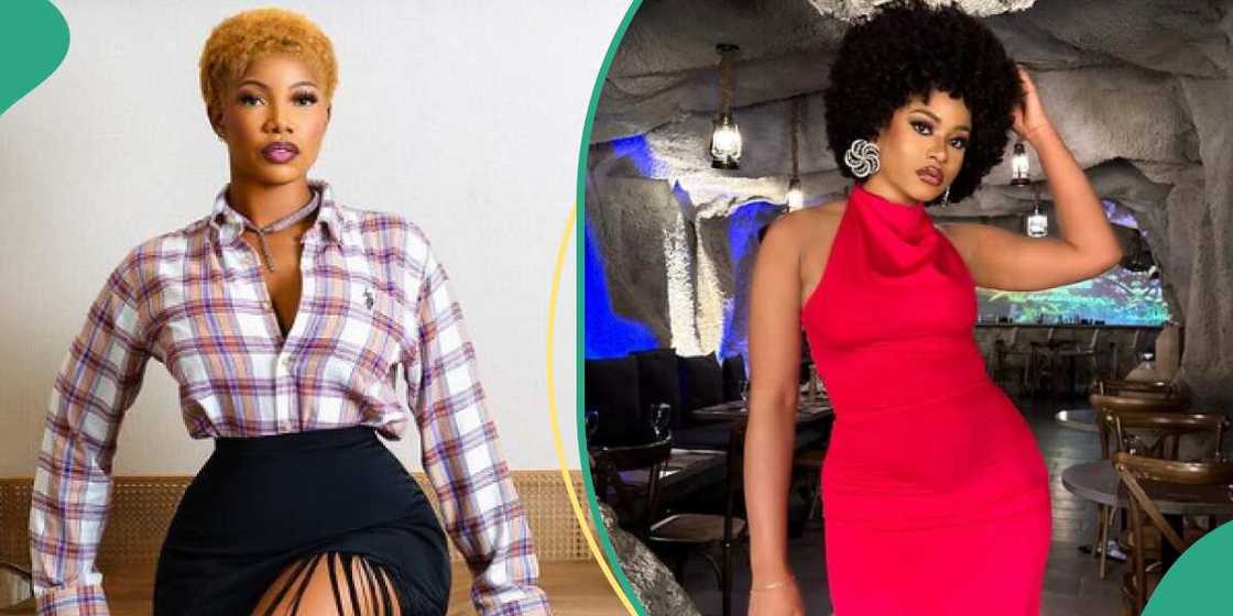 BBNaija Tacha and Pyhna BBNaija Tacha and Pyhna
