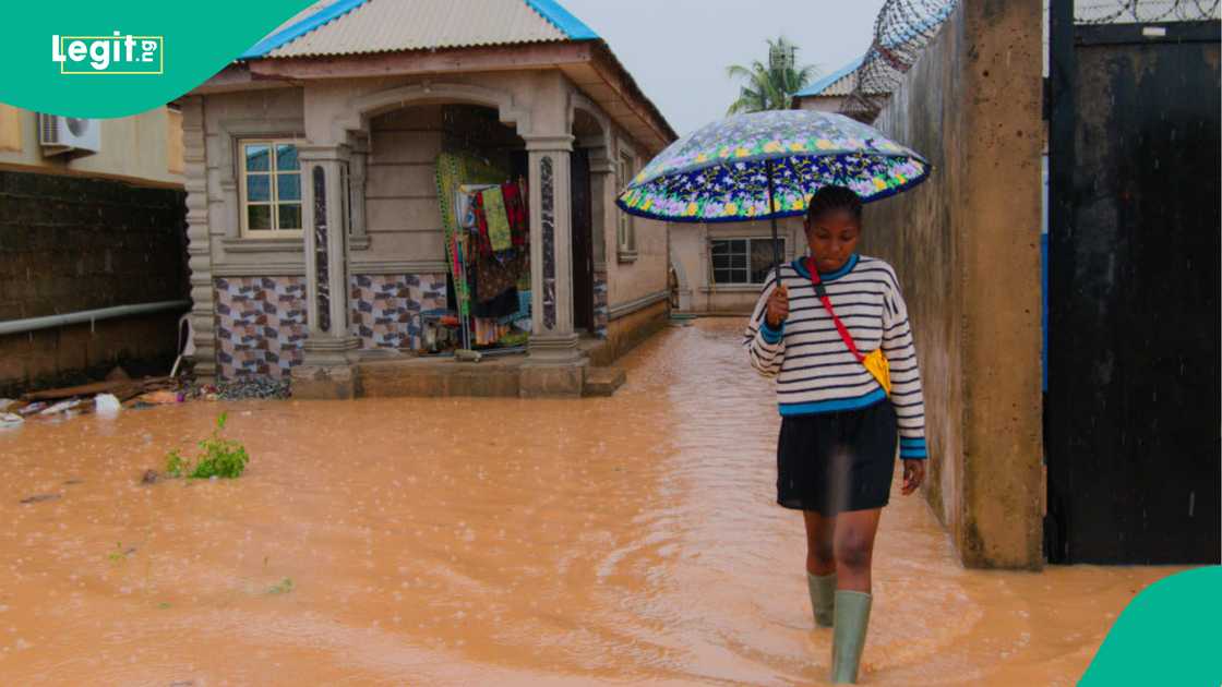 Lady holding an umbrella while meandering through flooded environment Lady holding an umbrella while meandering through flooded environment