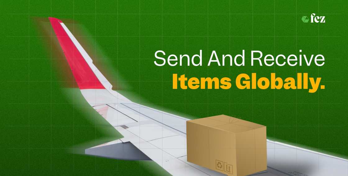 How To Order from Shein, Temu, Amazon, eBay, and Ship To Your Doorstep in Nigeria