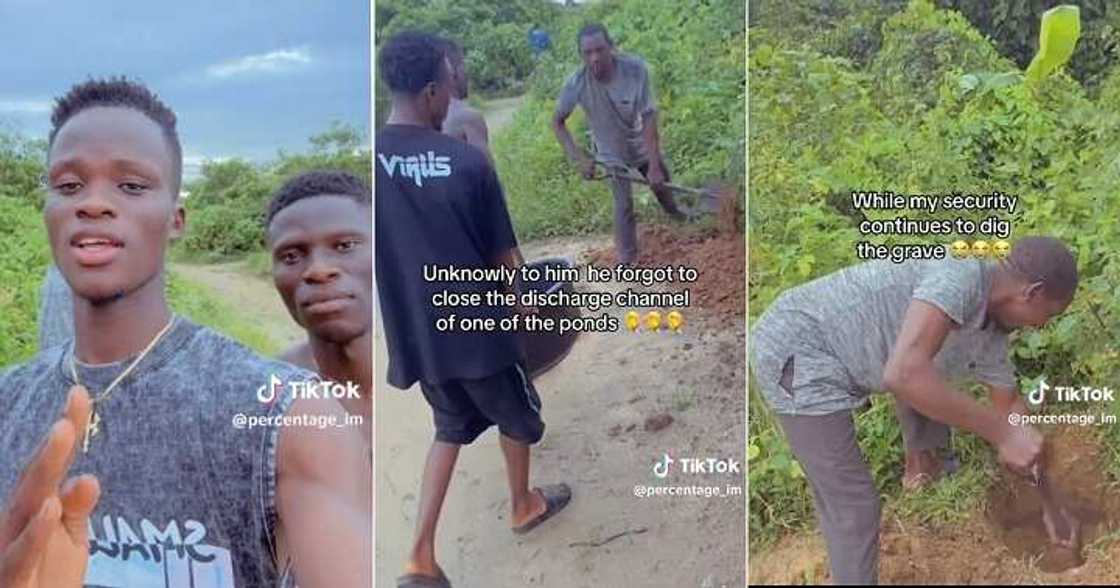Nigerian man loses over 800 fish after leaving business in brother's care