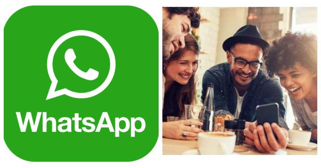 WhatsApp Group Chat WhatsApp Group Chat