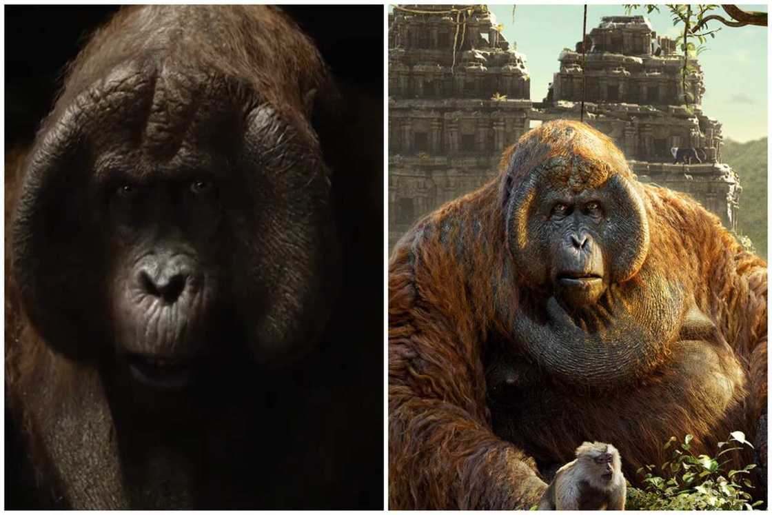 list of the Jungle Book characters list of the Jungle Book characters