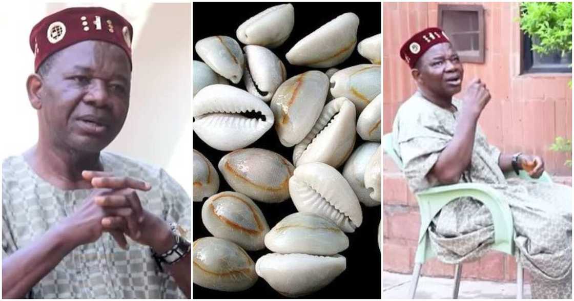 Photos of Chiwetalu Agu Photos of Chiwetalu Agu