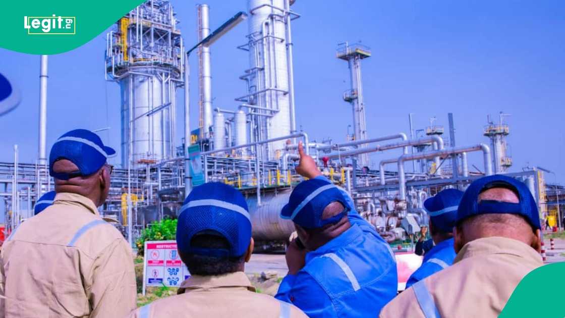 IPMAN president Abubakar Shettima asks Nigerian government to sell four NNPC-owned refineries in Kaduna, Warri, and Port Harcourt to the association for efficiency.