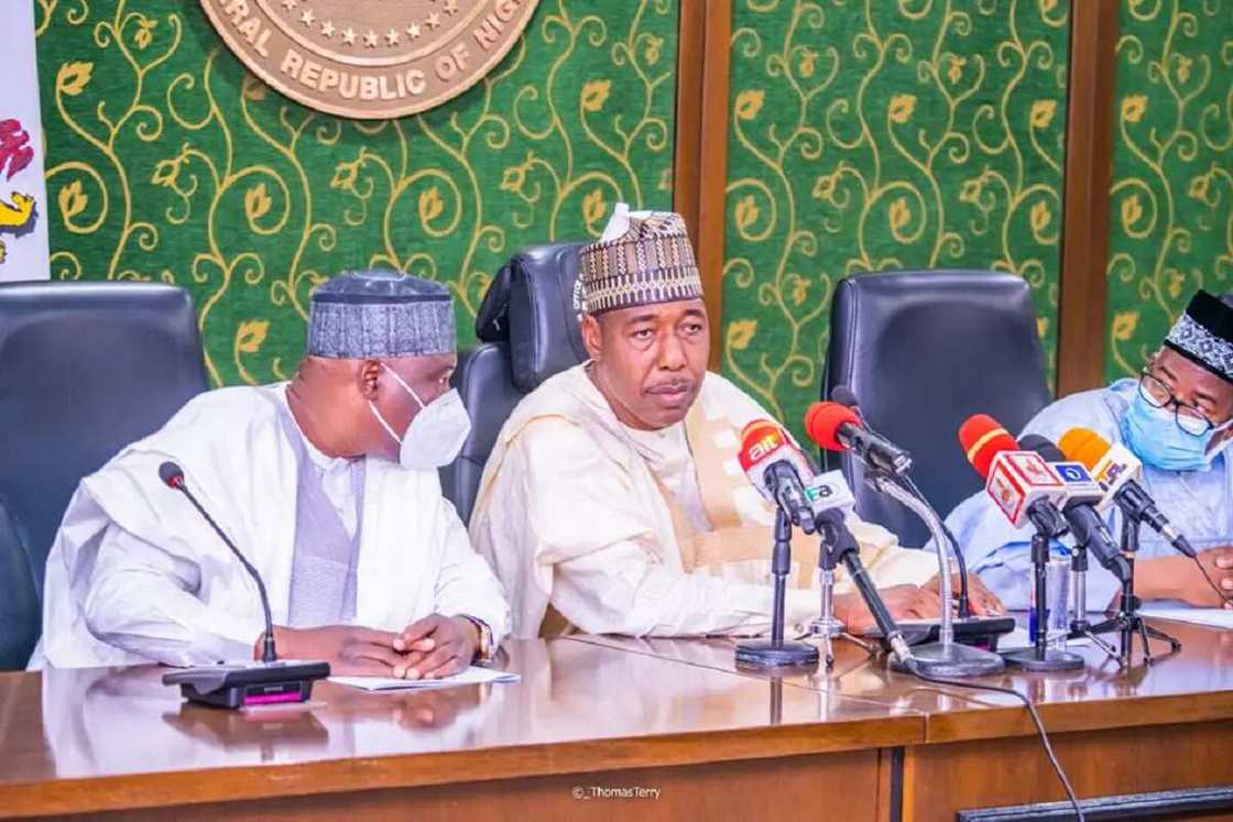 Gwamnonin Arewa maso gabas sun soki aikin Mambilla, sun ce a takarda ake kwangilar Gwamnonin Arewa maso gabas sun soki aikin Mambilla, sun ce a takarda ake kwangilar