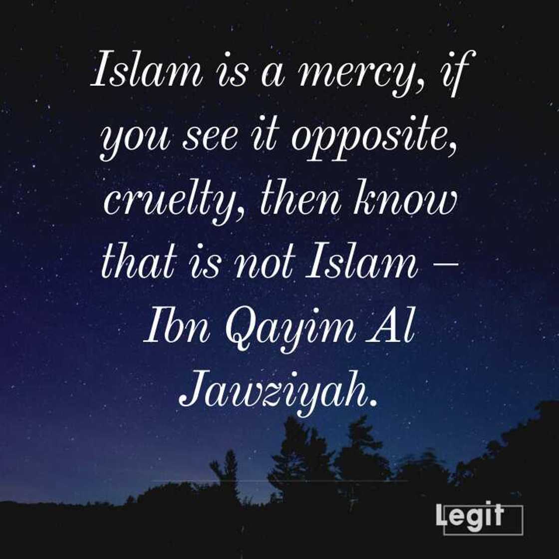 Islam peace quotes