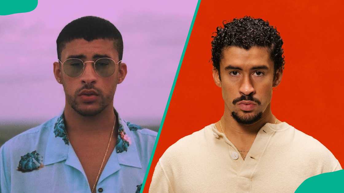 Bad Bunny with a shaved head and curly hair Bad Bunny with a shaved head and curly hair