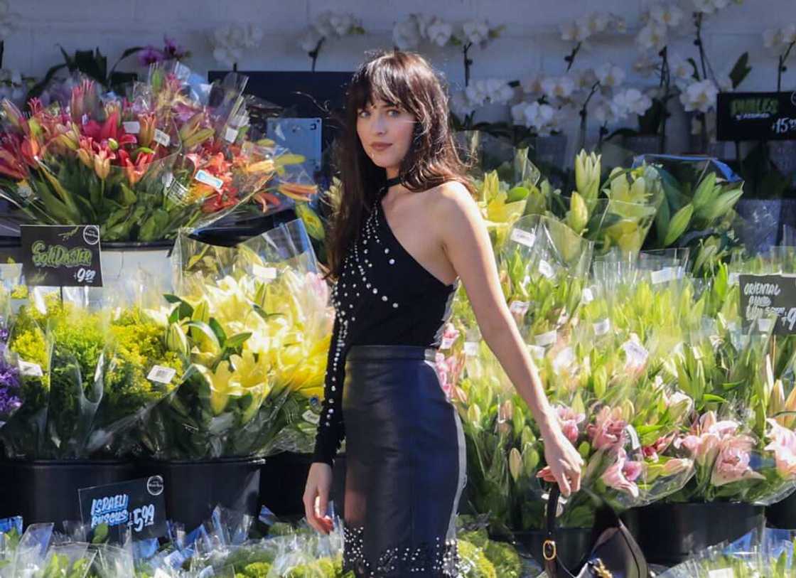 dakota johnson dakota johnson