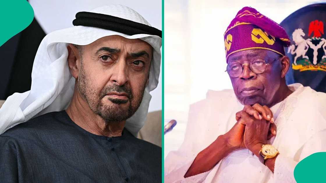 The UAE condemns a terrorist attack that caused deaths and kidnappings. The UAE condemns a terrorist attack that caused deaths and kidnappings.