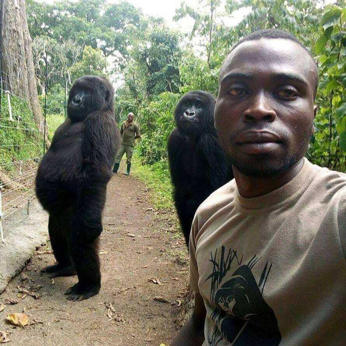 The Elite AntiPoaching Units And Combat Trackers. The Elite AntiPoaching Units And Combat Trackers.