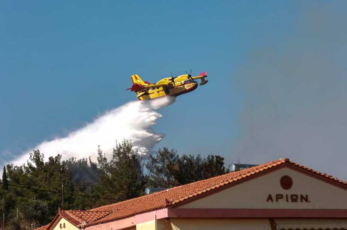 Dozens of firefighters on Sunday morning clamoured to control the blaze on the island of Lesbos