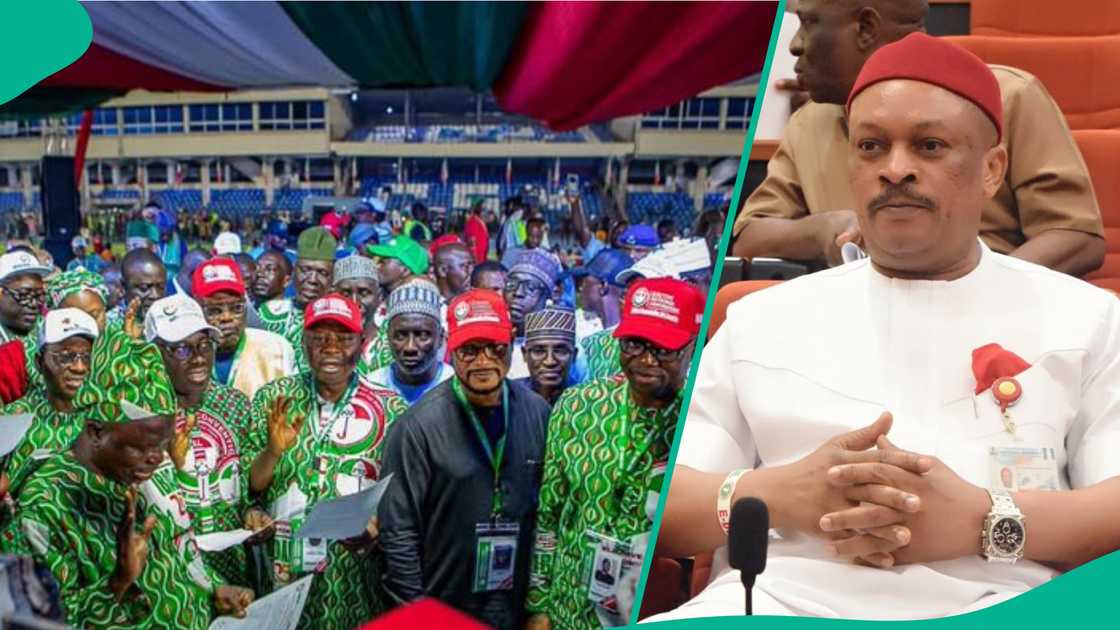 Anyanwu reject PDP's convention Anyanwu reject PDP's convention