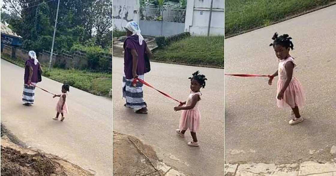 Grandmother ties baby's hand with rope, funny video Grandmother ties baby's hand with rope, funny video