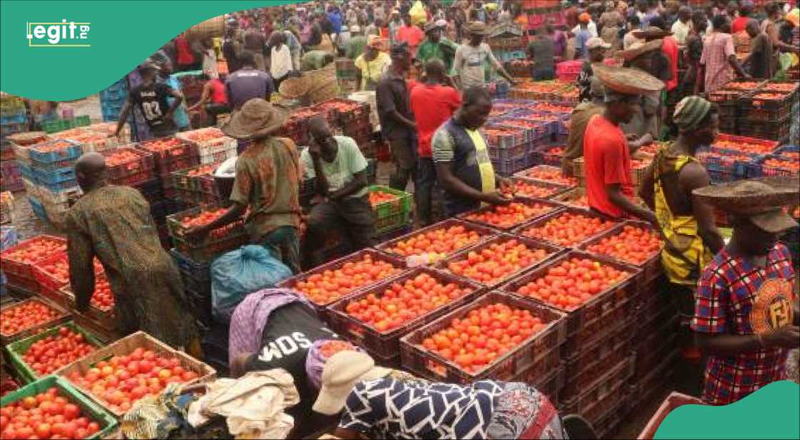 Kayan gwari Kayan gwari