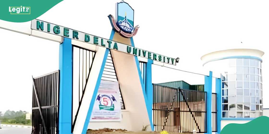 Final year student at Niger Delta University, Palowei, killed