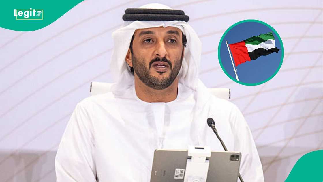 UAE government publishes regulation regarding foreigners' passport and entry documents