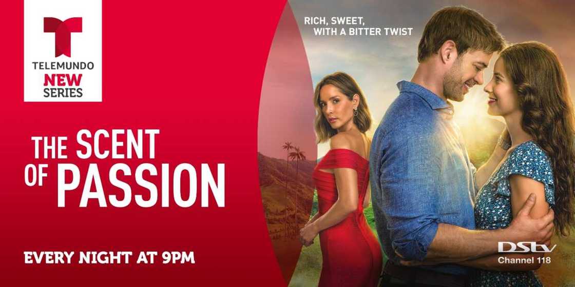 Love Conquers All in Telemundo TV Series, The Scent of Passion