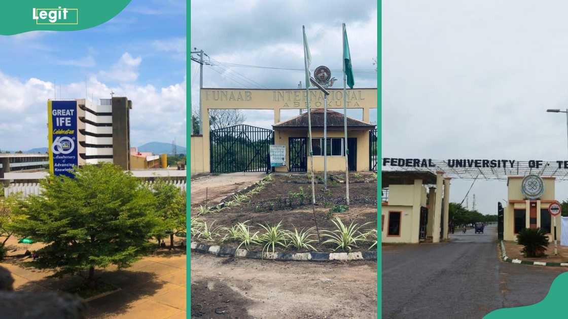 The University of IIorin, FUNAAB, and the Federal University of Technology The University of IIorin, FUNAAB, and the Federal University of Technology