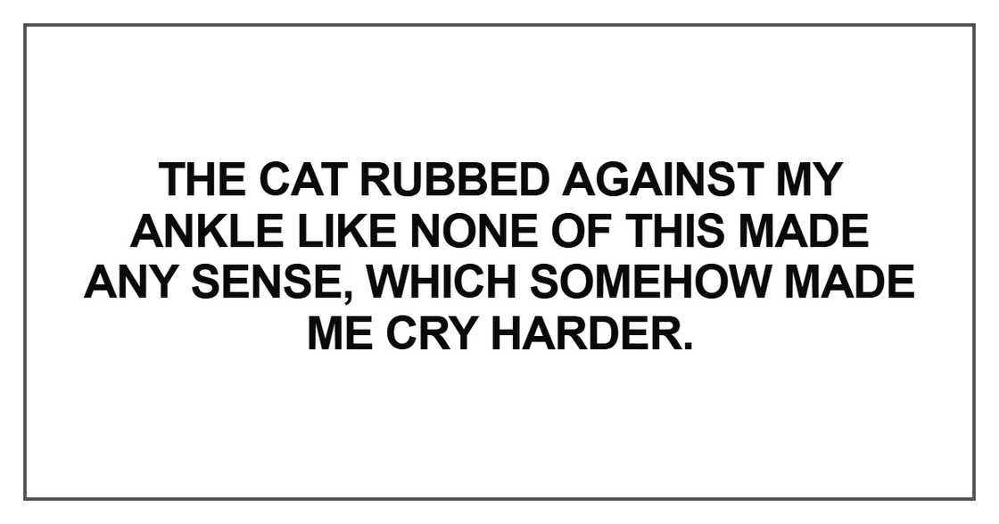 The cat rubbed against my ankle