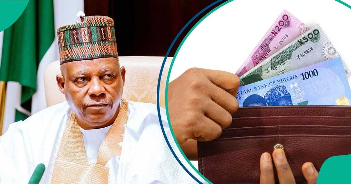 FG unveils N250,000 for small business owners FG unveils N250,000 for small business owners