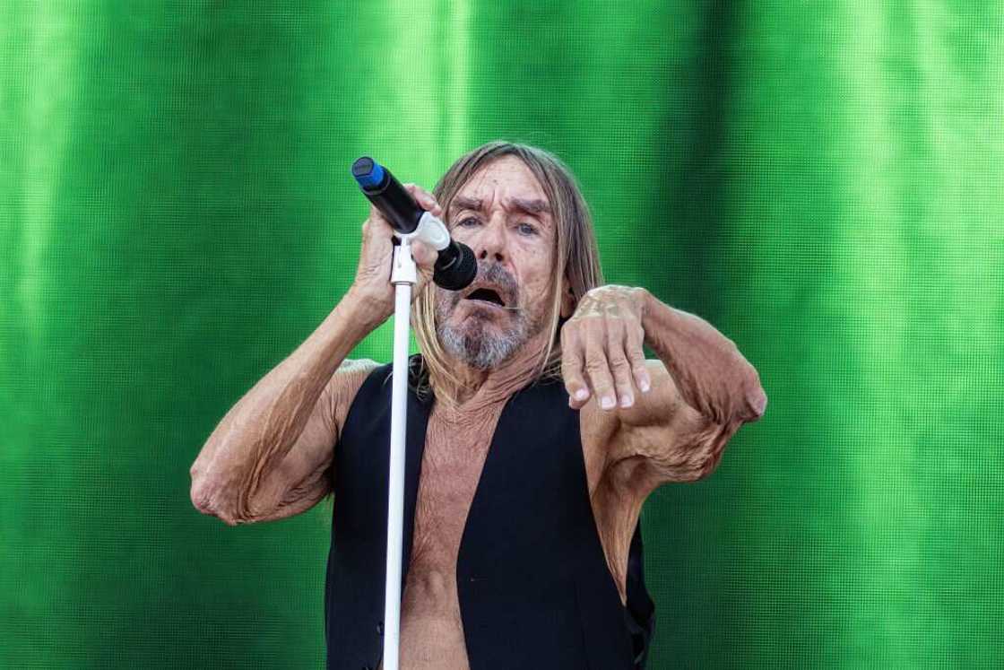 Iggy Pop performs on stage Iggy Pop performs on stage