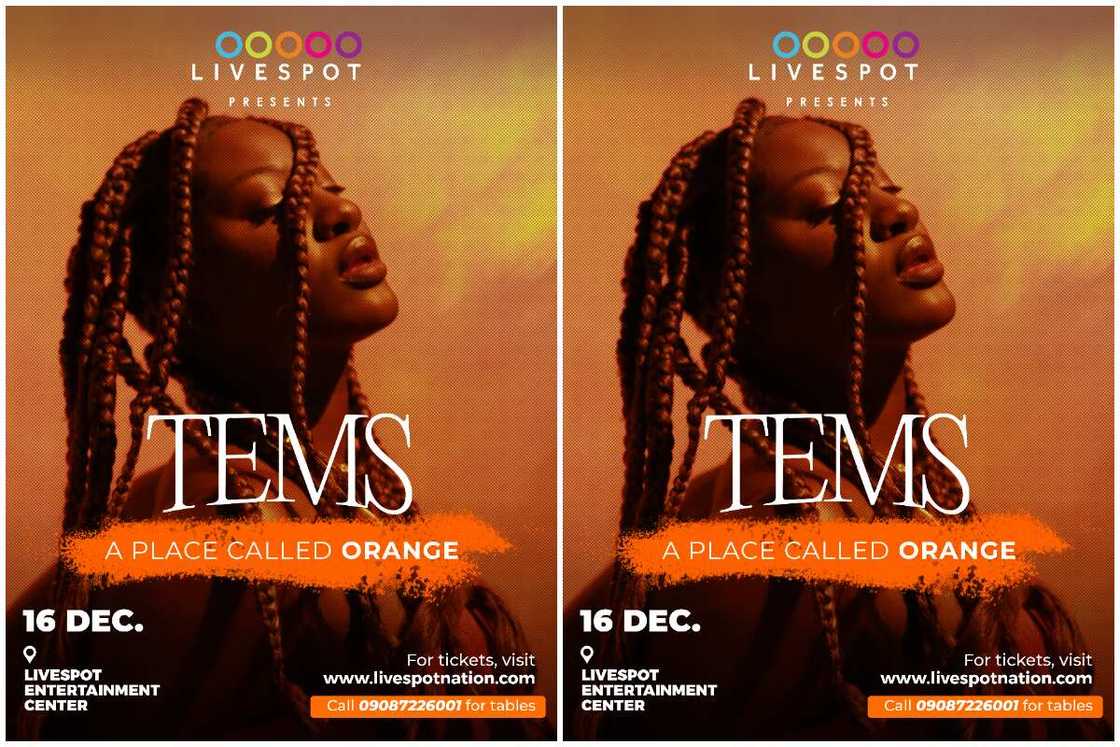 Grammy-Nominated Artist, Tems Grammy-Nominated Artist, Tems