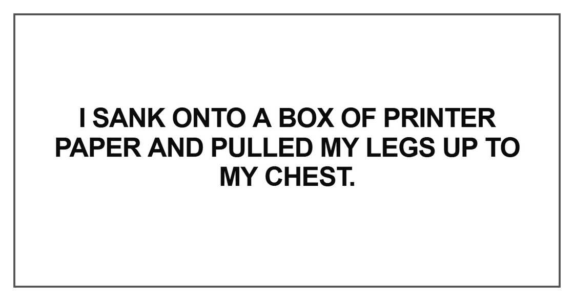 I sank onto a box of printer paper