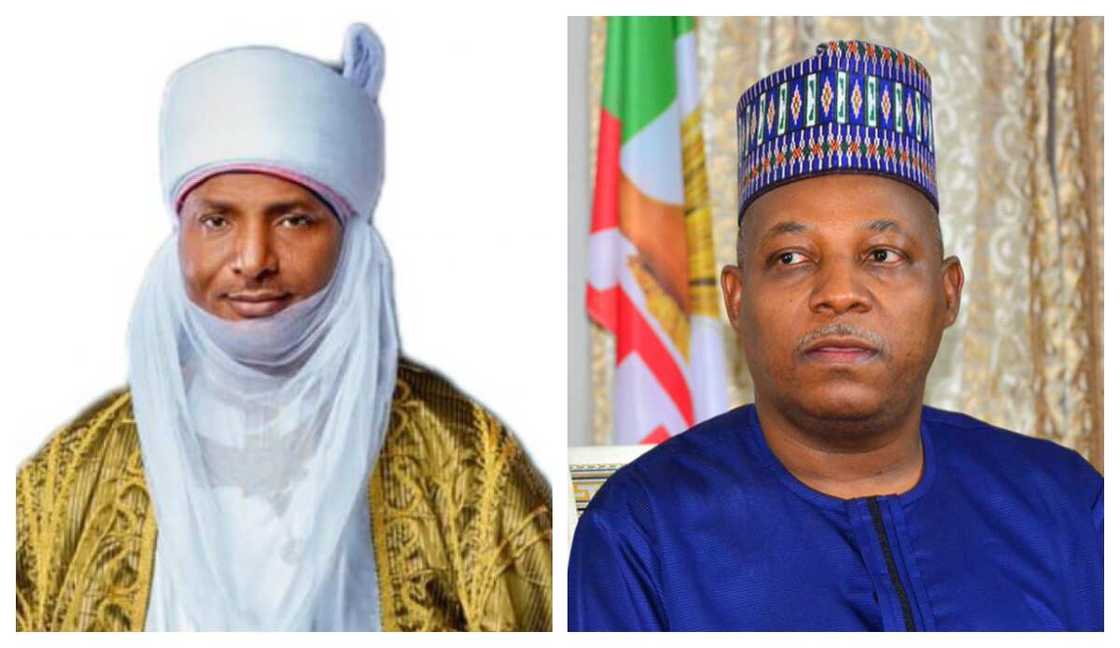 Turaki-Shettima Turaki-Shettima