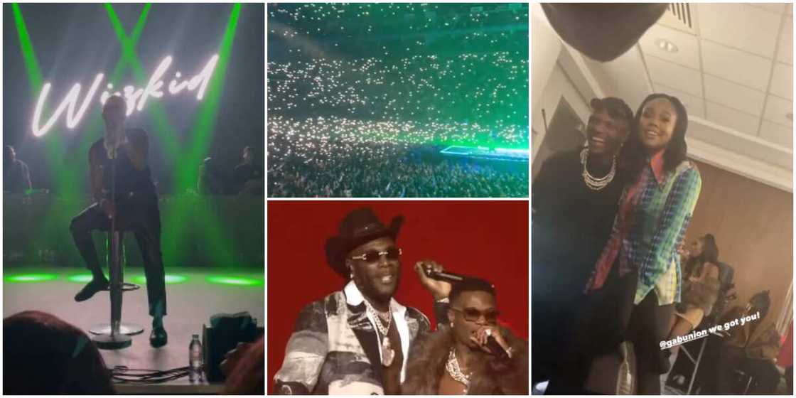 Wizkid Wizkid