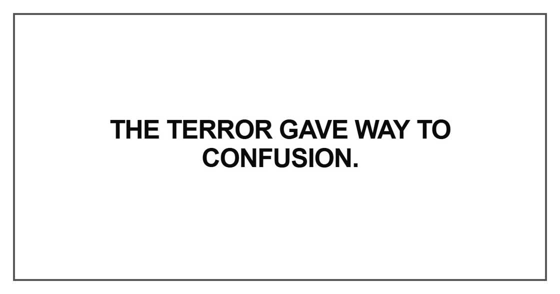 The terror gave way to confusion The terror gave way to confusion