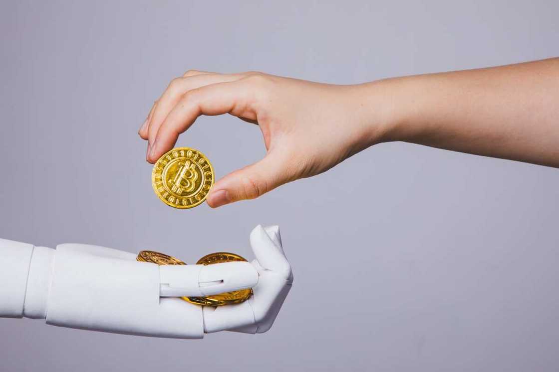 Crypto investors, US, UK, Germany, China, Nigeria Crypto investors, US, UK, Germany, China, Nigeria