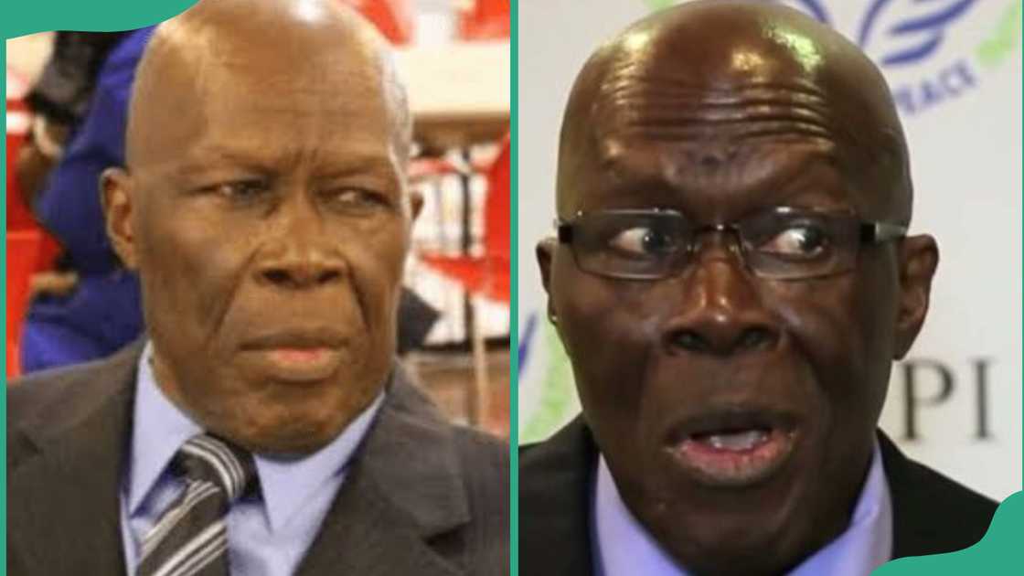 Humphrey Nwosu, NEC chair in black and blue suits Humphrey Nwosu, NEC chair in black and blue suits