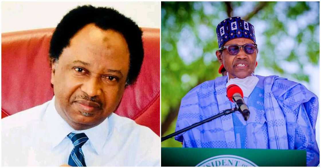 Maiduguri airport renamed after Buhari/ Maiduguri Airport/ Shehu Sani