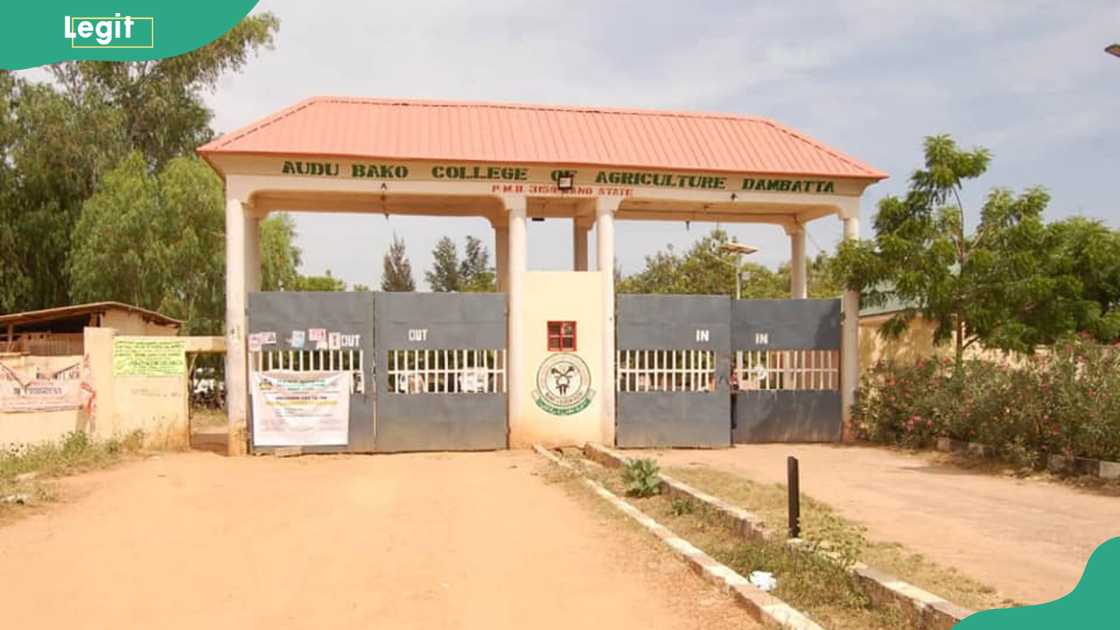 Audu Bako College of Agriculture, Dambatta Audu Bako College of Agriculture, Dambatta