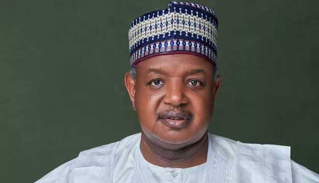 Bagudu Bagudu
