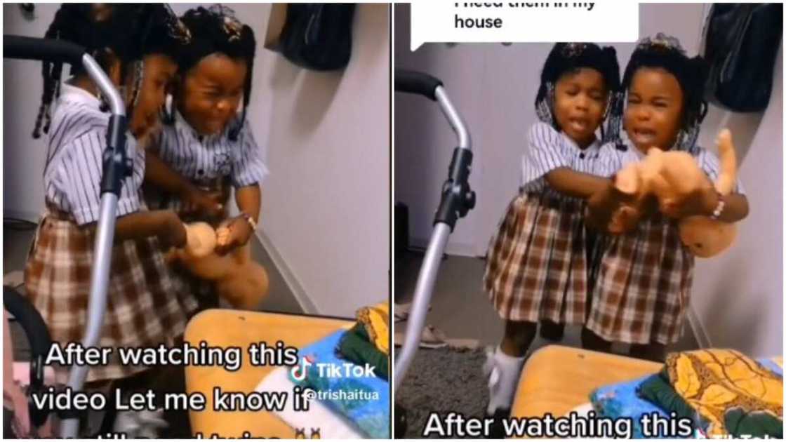 Twin fighting Twin fighting