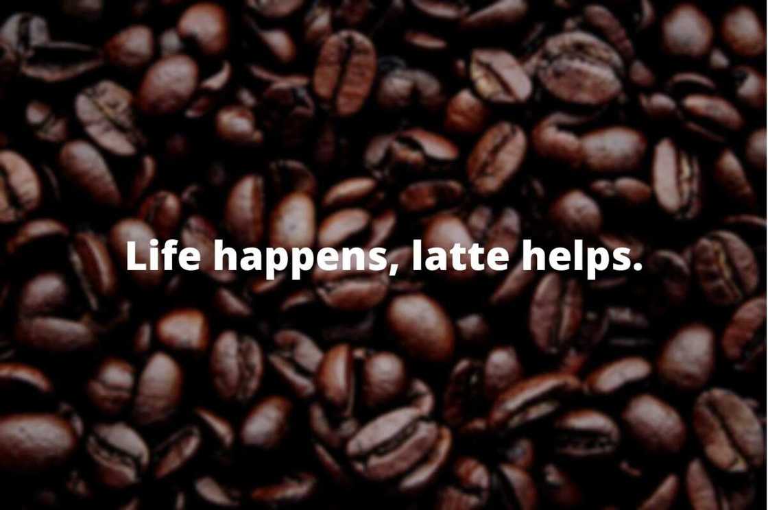 funny coffee sayings funny coffee sayings