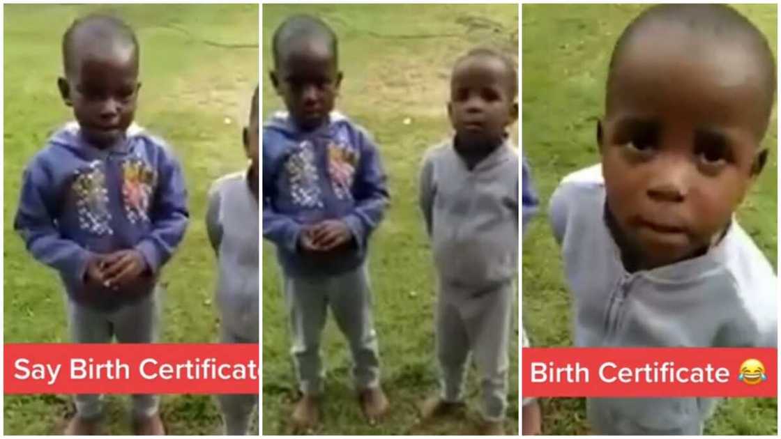 Kids attempt to say birth cert fails woefully. Kids attempt to say birth cert fails woefully.