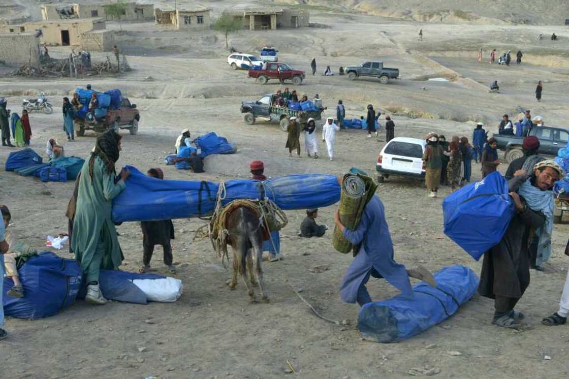 A donkey is loaded with a tent in Spera district, hard-hit by last qweek's 5.9-magnitude earthquake A donkey is loaded with a tent in Spera district, hard-hit by last qweek's 5.9-magnitude earthquake