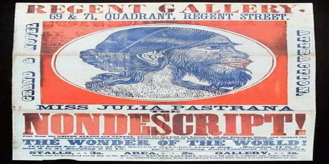 Hotunan mace mafi muni a duniya, ta kori manema aurenta 20 Hotunan mace mafi muni a duniya, ta kori manema aurenta 20