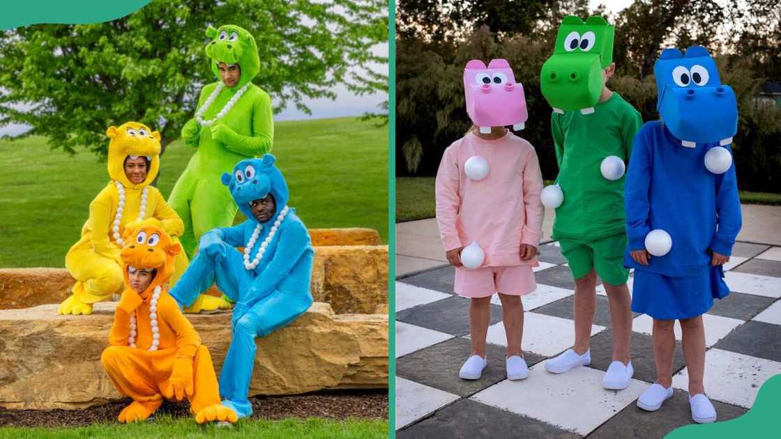 Hungry Hungry Hippos costume Hungry Hungry Hippos costume