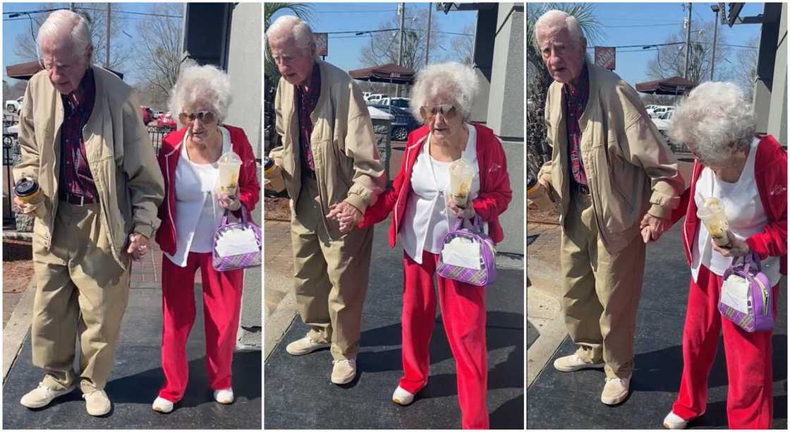 Photos of an old couple who went out to have a good time. Photos of an old couple who went out to have a good time.