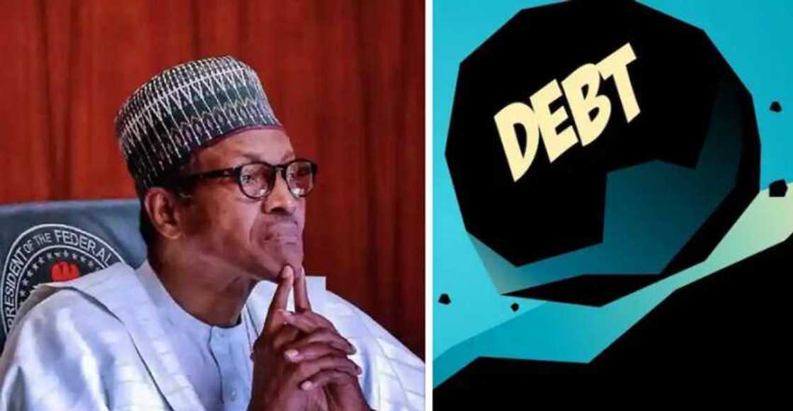 Budget Office warns of looming debt crisis Budget Office warns of looming debt crisis